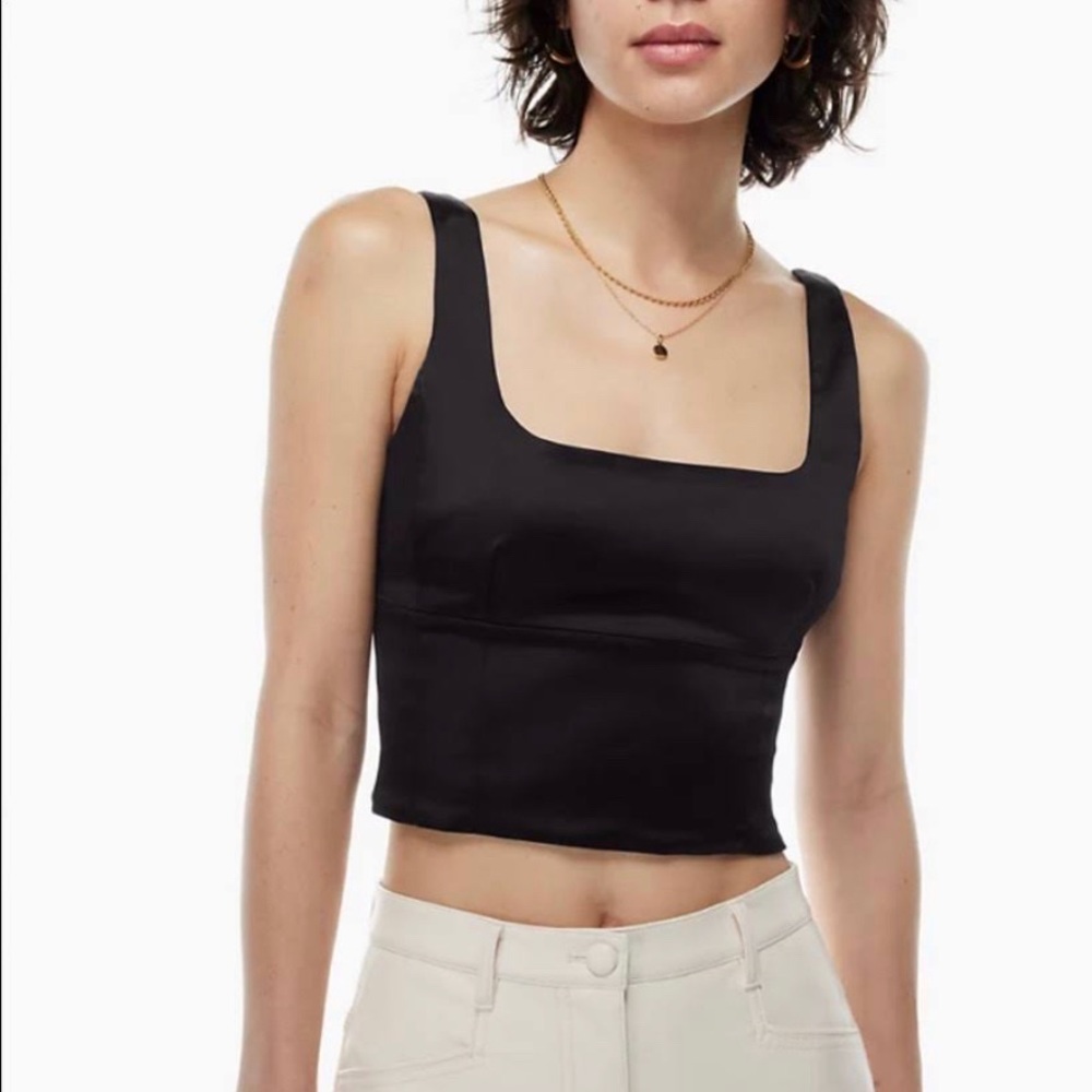 Wilfred Shine Bustier Top!